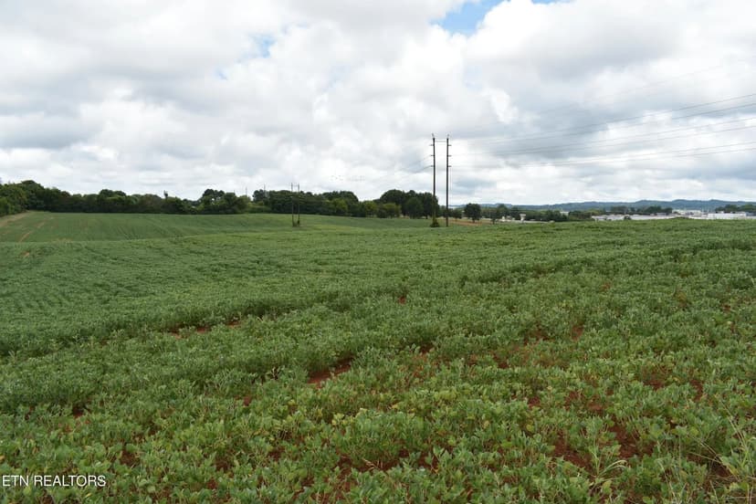 Lots & Land-Other in Talbott