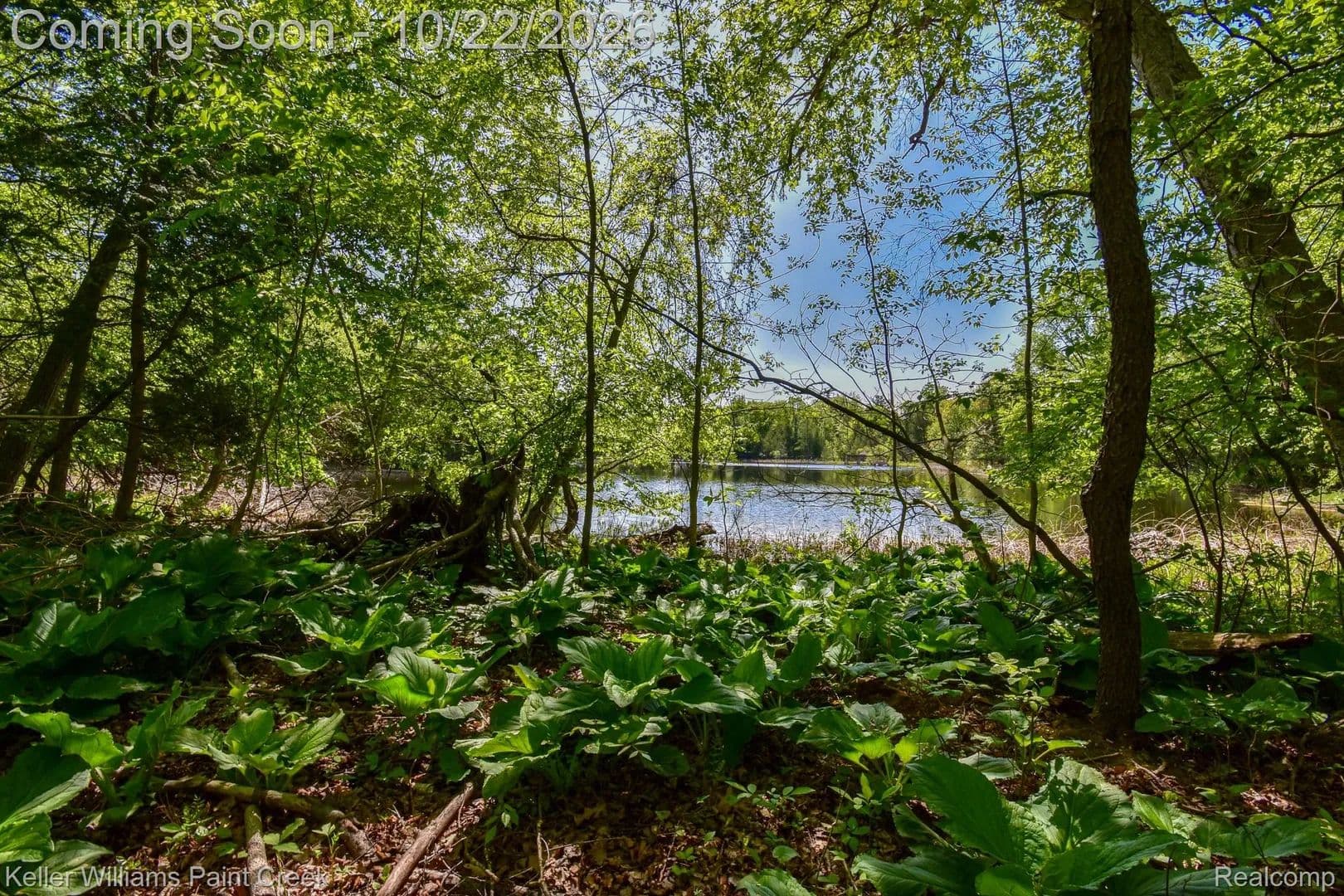 15.75 Acres of Land for Sale in Lapeer, MI - land for sale