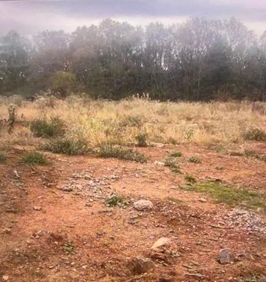 Lots & Land-Other in Maumelle - Maumelle, Arkansas, 72113