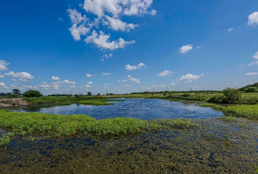 Ron Cotton Estate Ranch