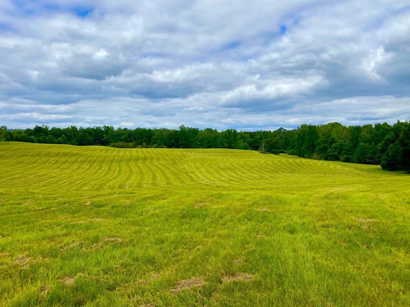 Ralph: Sipsey Valley Rd. Home Site - Pasture - Hunting - Ralph, Alabama, 35480