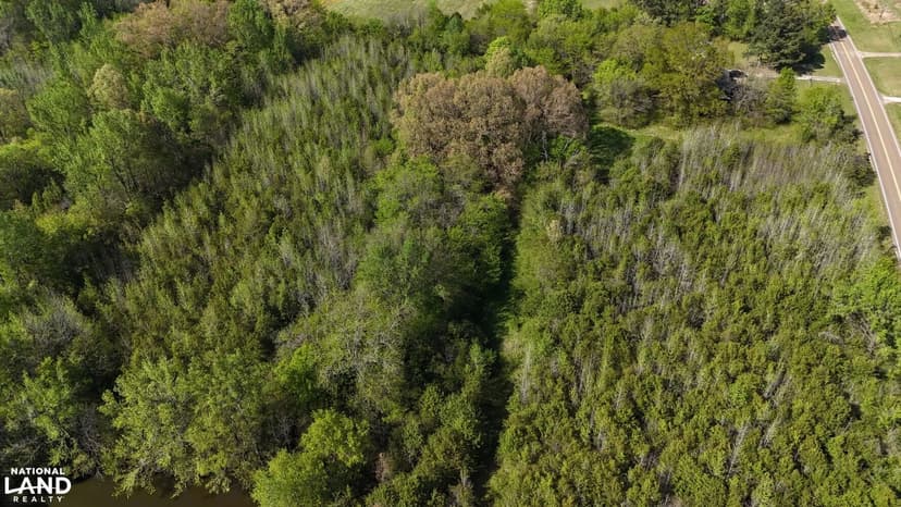 Somerville Recreational/Potential Development Tract