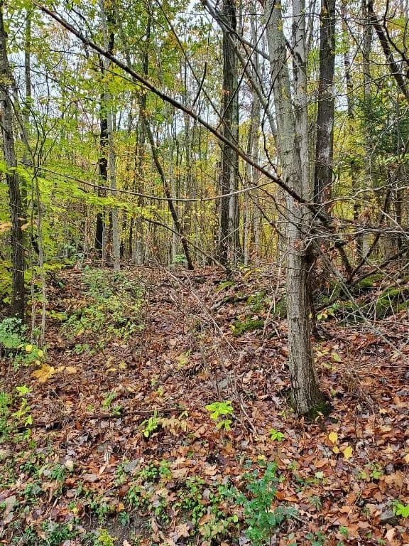 Vacant Land in Vestal - Vestal, New York, 13850
