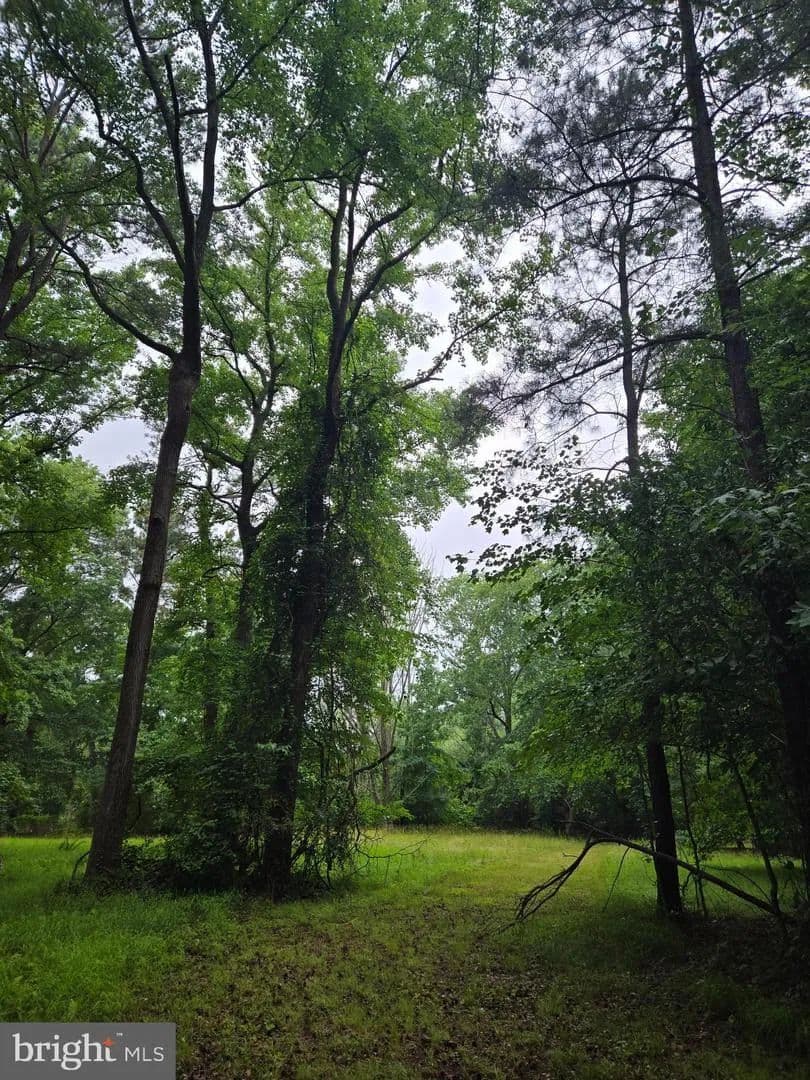 Vacant Land in Eden - Eden, Maryland, 21822