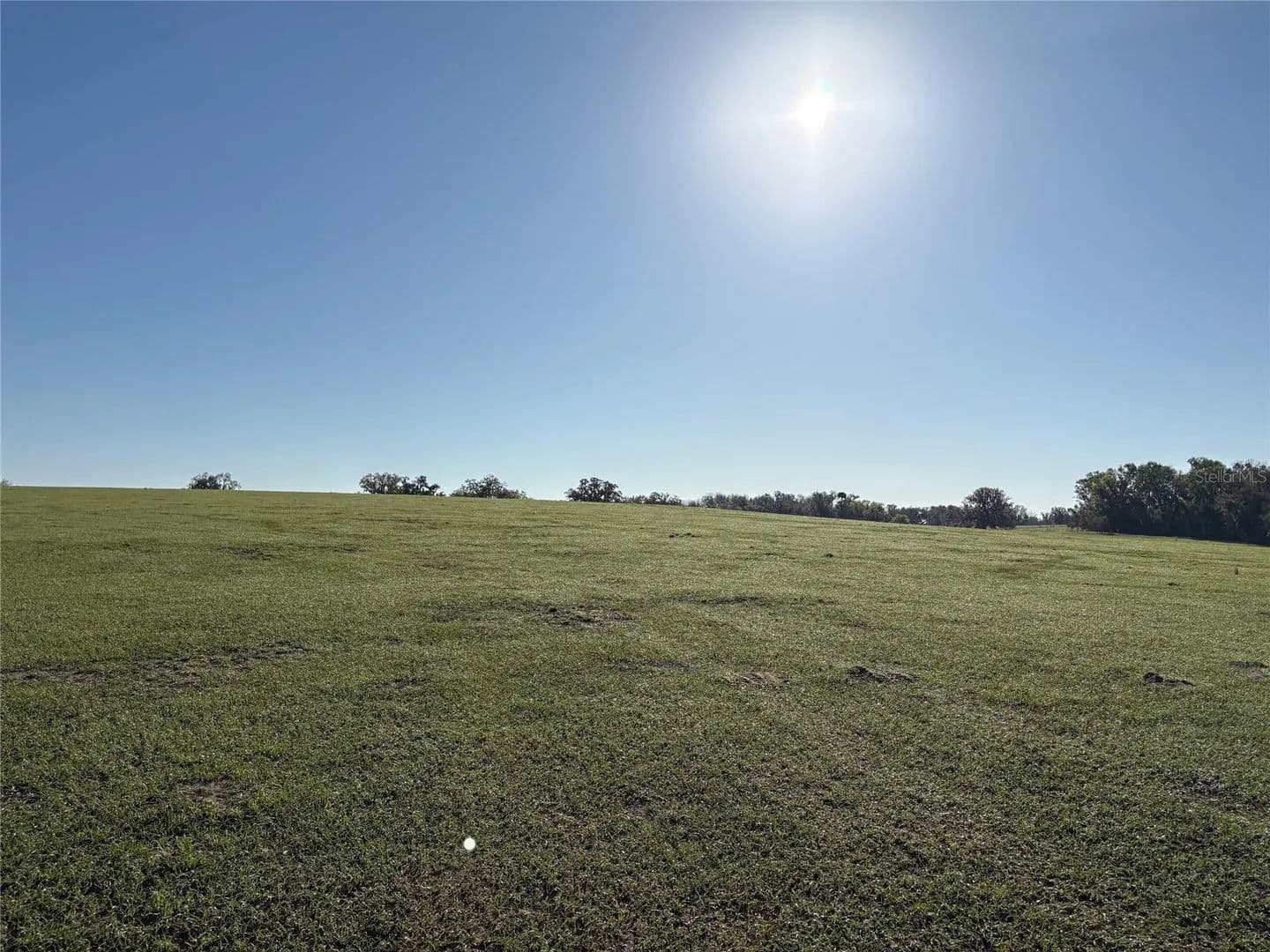 104.18 Acres of Land for Sale in BROOKSVILLE, FL - land for sale