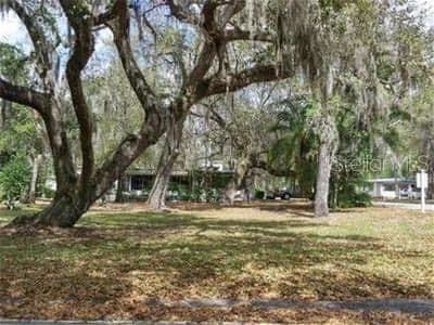 0.17 Acres of Land for Sale in Wildwood, Florida - Wildwood, Florida, 34785