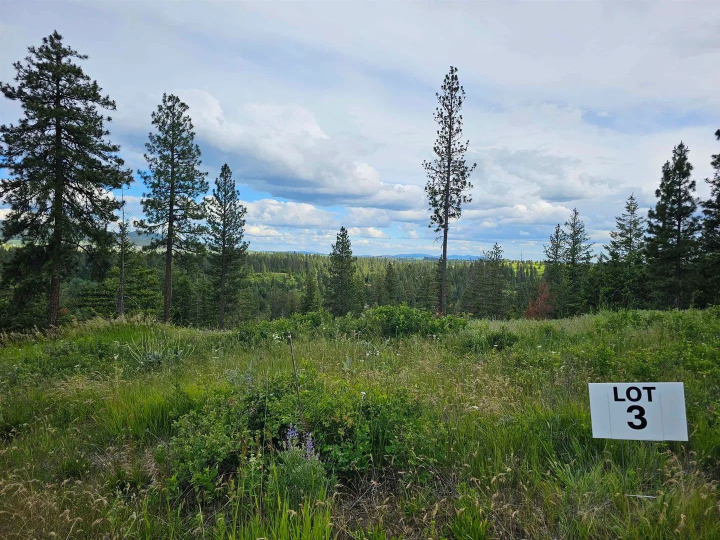 Property from NNA S Sands Rd - KW - Valleyford, Washington, 99036
