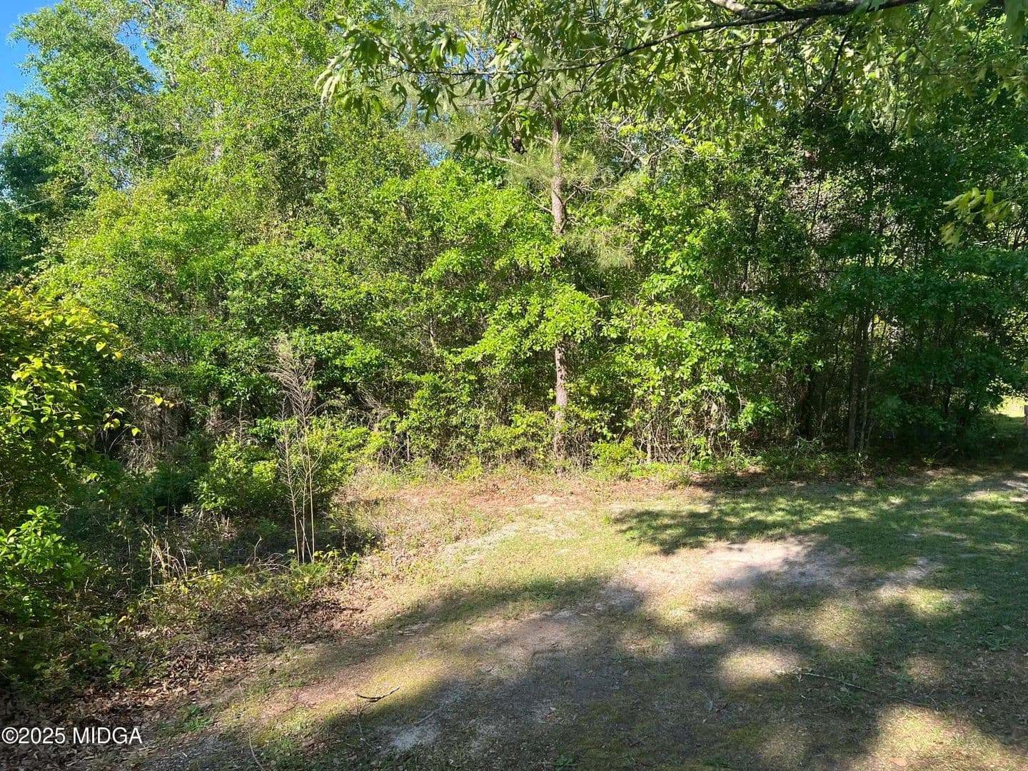 Property from 0 Michael Court - KW - Bonaire, Georgia, 31005