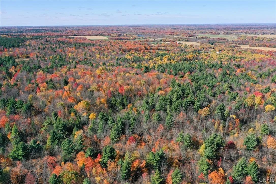 35.1 Acres of Land for Sale in Potsdam, NY - Potsdam, New York, 13676