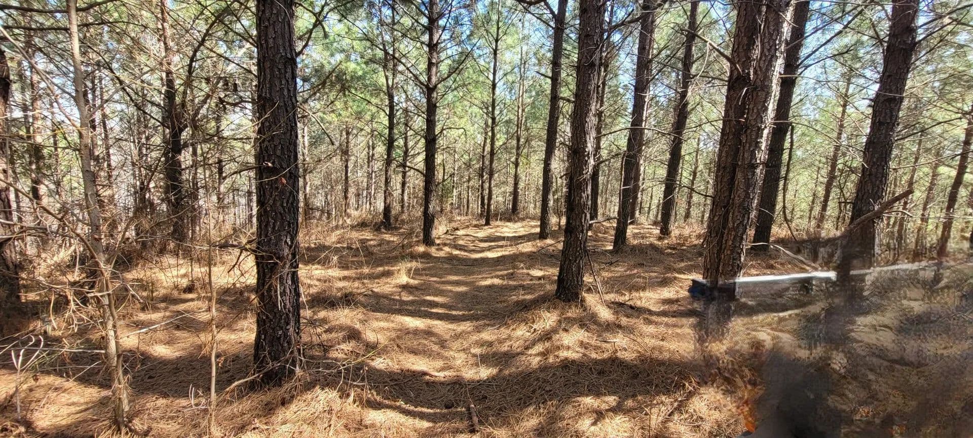 Vacant Land in Dover - Dover, Tennessee, 37058