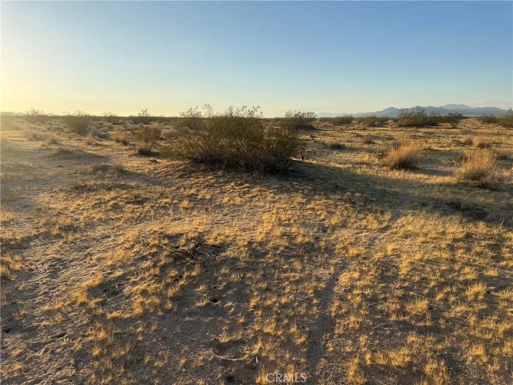 Vacant Land in Lucerne Valley - Lucerne Valley, California, 92356