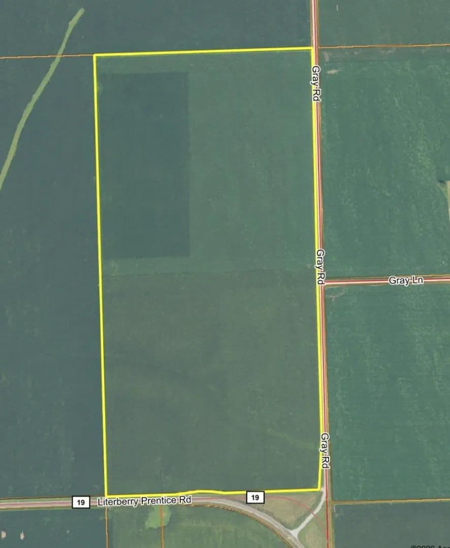 79.85± Acre Farmland Auction · 98% Tillable · Morgan County, IL - Literberry, Illinois, 62650