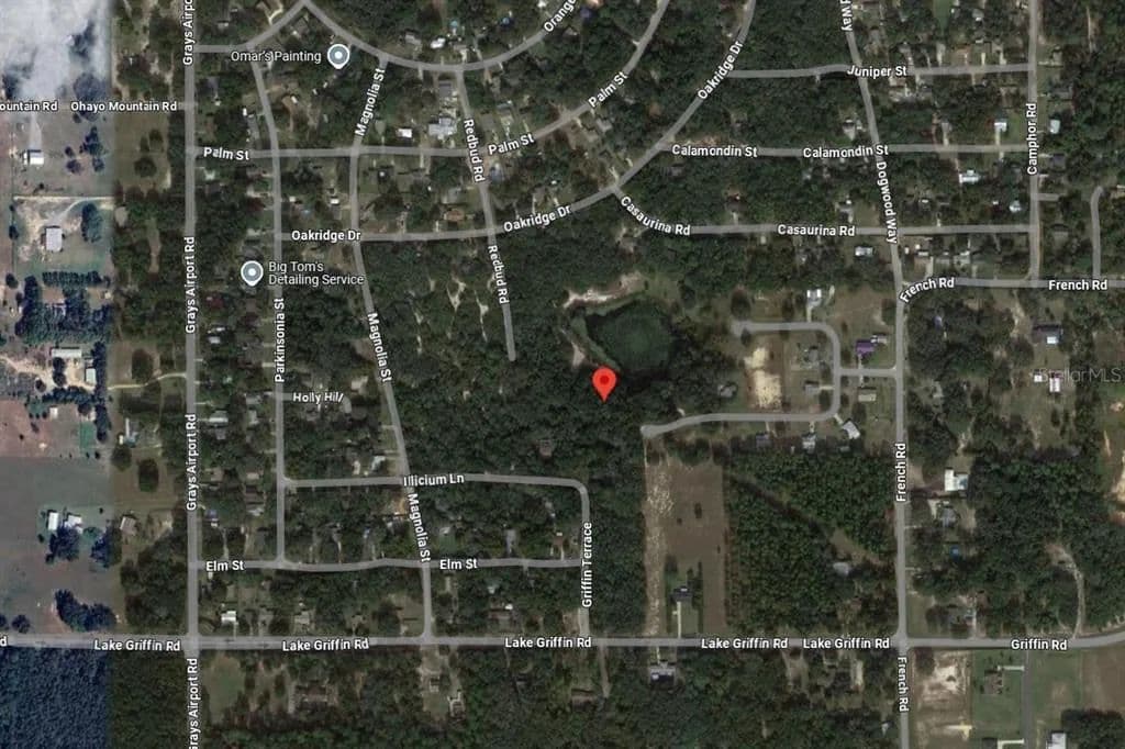 Vacant Land in Lady Lake - land for sale