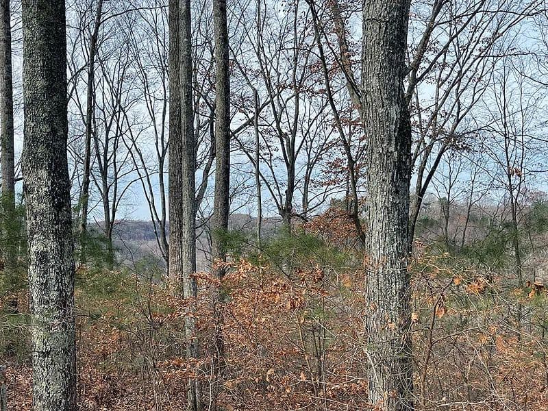 Land -Single Family Acreage in Russell Springs - Russell Springs, Kentucky, 42642