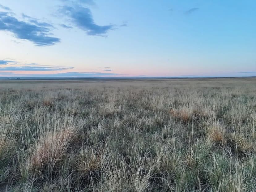 Multiple Surveyed Parcels of CRP located Near Denver Metro (Parcel #5 & Parcel #6)