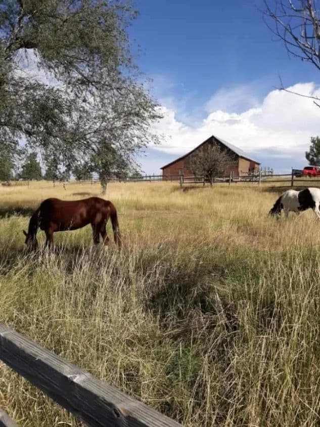 W Quarter Circle Ranch Retreat - Hay Springs, Nebraska, 69347