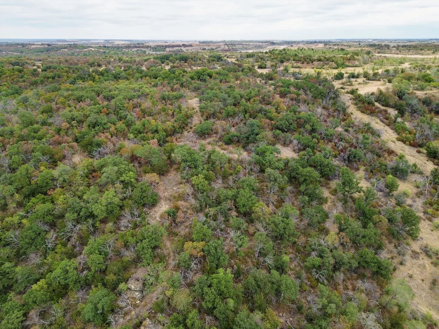 Vacant Land (10+ Acres) in Bridgeport - Bridgeport, Texas, 76426