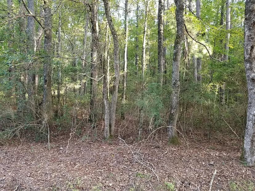 Vacant Land in Smoaks