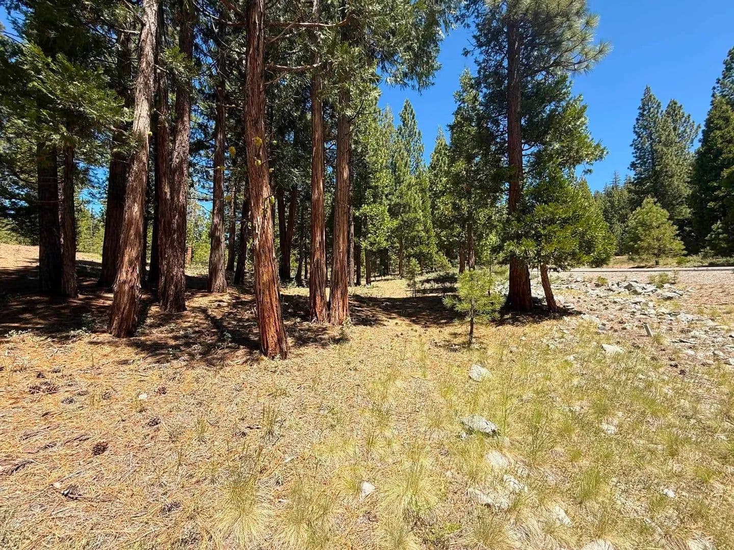 Property from 300 Peppergrass Lane - KW - Portola, California, 96121