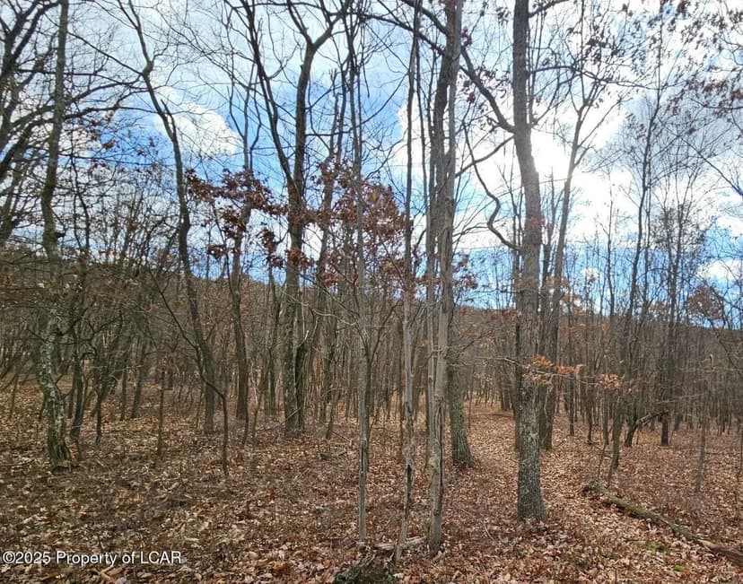 Lots & Land-Other in Hazleton