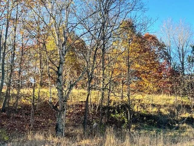 Vacant Land in Copemish - Copemish, Michigan, 49625