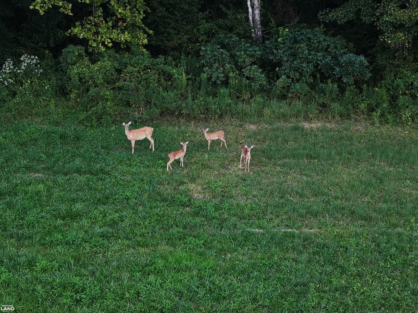 The Hidden Haven - London, Kentucky, 40741