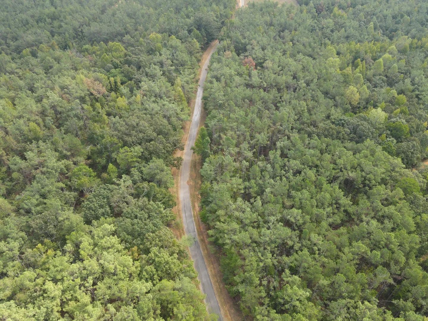53 Acres in Tippah County, MS  - Ripley, Mississippi, 38663