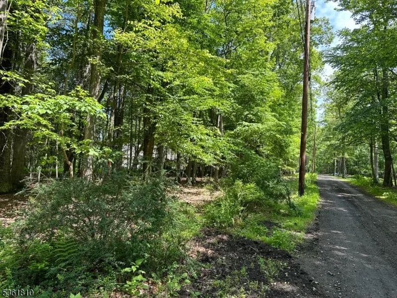 Vacant Land in Sandyston Twp.