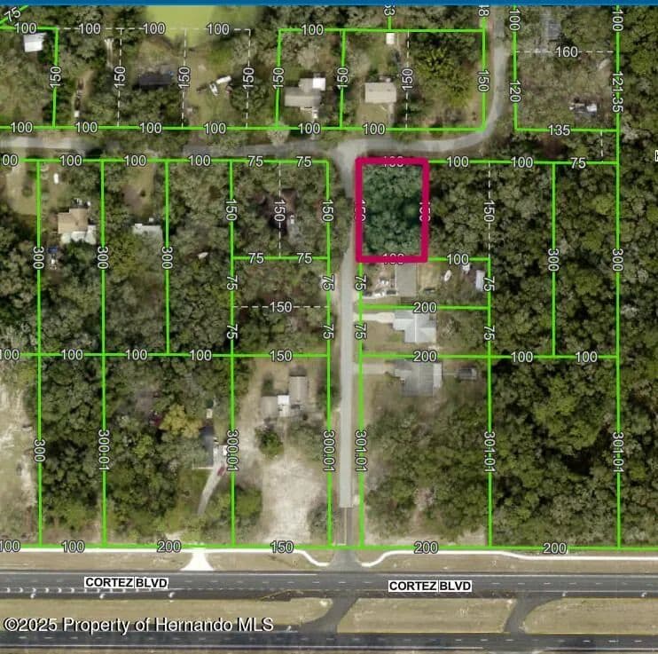 Vacant Land in Dade City