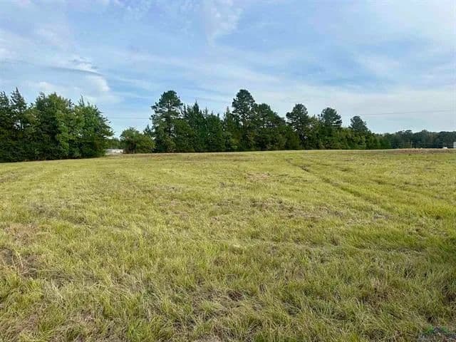 Lots & Land-Other in Carthage - Carthage, Texas, 75633