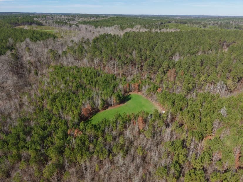 20 Acres in Choctaw County, AL