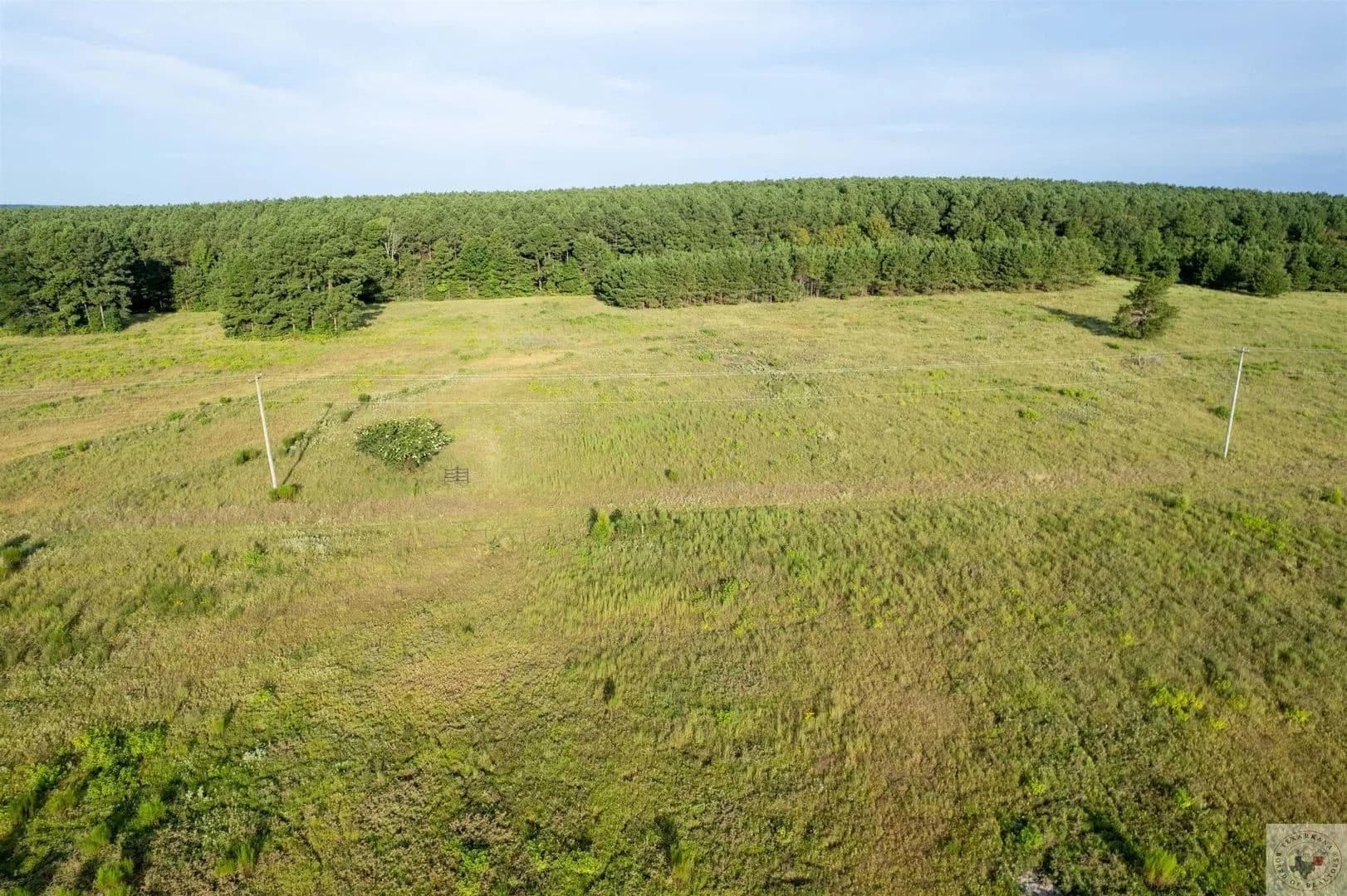 Vacant Land in Atlanta - Atlanta, Texas, 75551