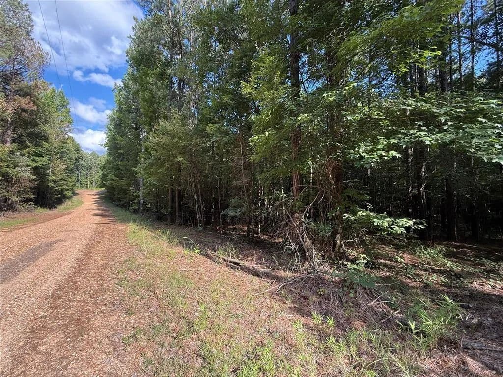 Lots & Land-Other in Olla - Olla, Louisiana, 71465
