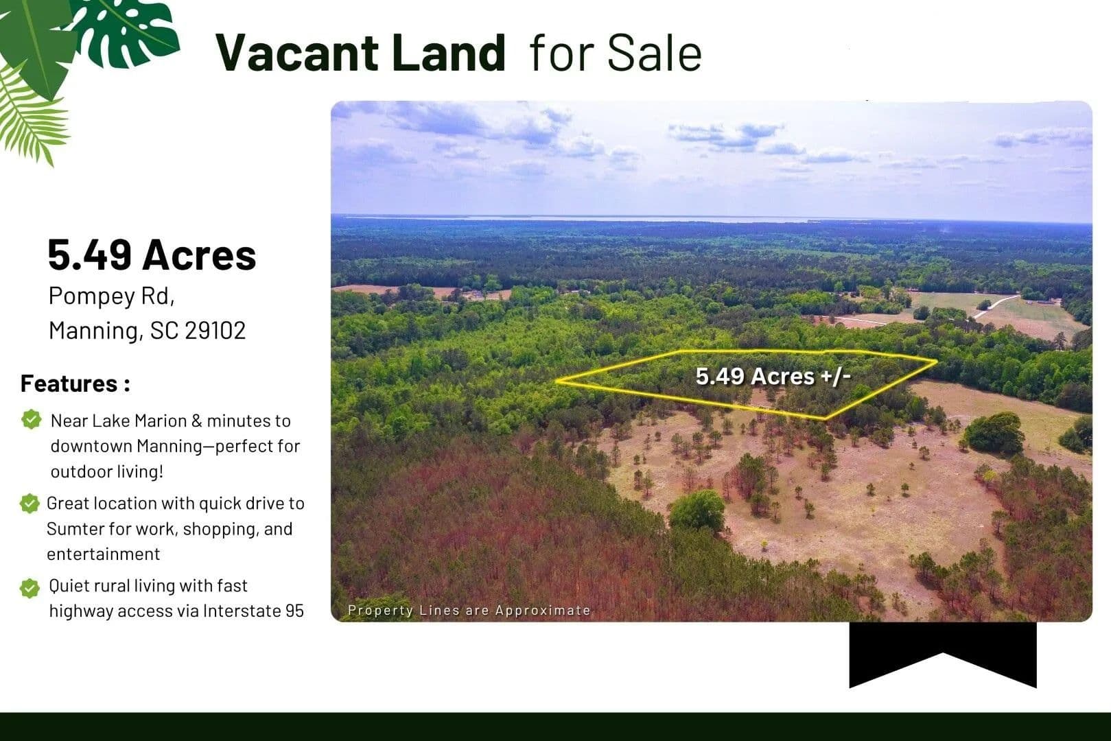 Vacant Land in Manning - Manning, South Carolina, 29102