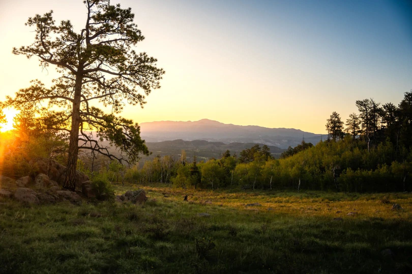 Adduce Ranch - Florissant, Colorado, 80816