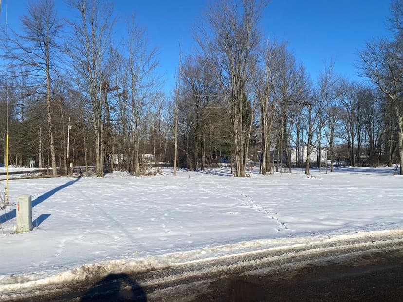 Lots & Land-Other in Mount Gilead