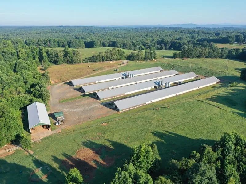 Kiser Broiler Farm – Four MEGA House Farm in Banks County, Georgia - Carnesville, Georgia, 30521