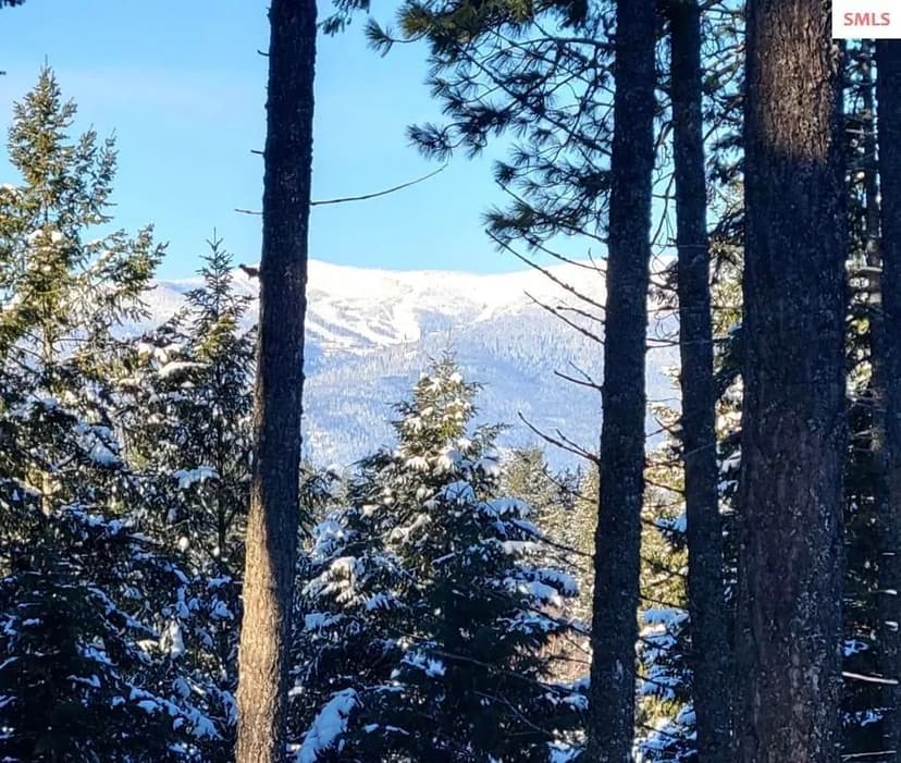 Lots & Land-Other in Sandpoint