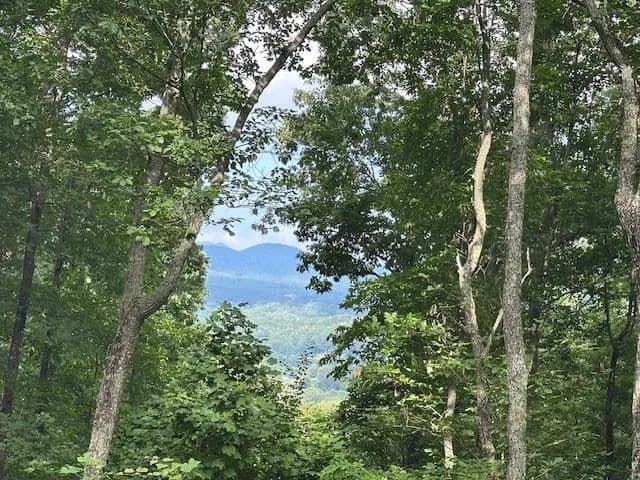 Lots & Land-Other in Young Harris