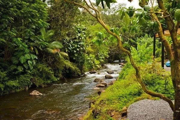 Lots & Land-Other in Hilo