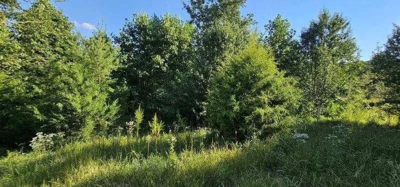 Land -Agricultural (Not Zoned) in Dunlap - Dunlap, Tennessee, 37327