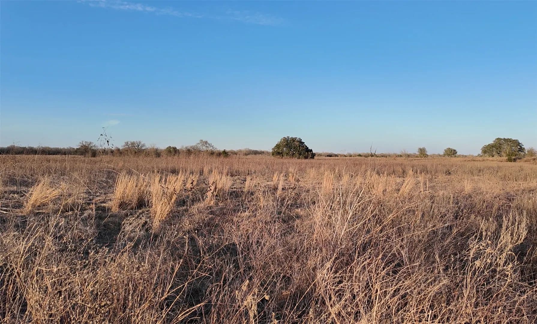 Vacant Land in Ledbetter - Ledbetter, Texas, 78946