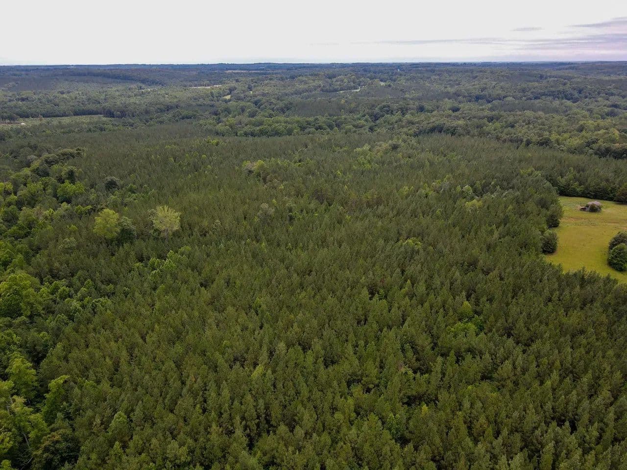15.42± Acres in Vernon Hill – Halifax County, VA - Vernon Hill, Virginia, 24597