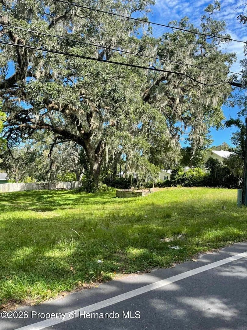 Vacant Land in Brooksville - Brooksville, Florida, 34601