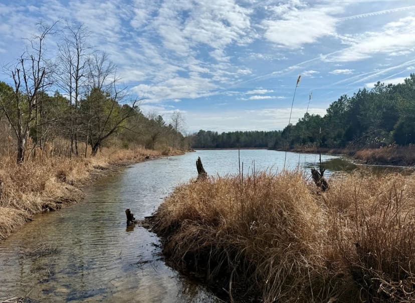 Jasper Homestead/Hunting/Recreational Tract