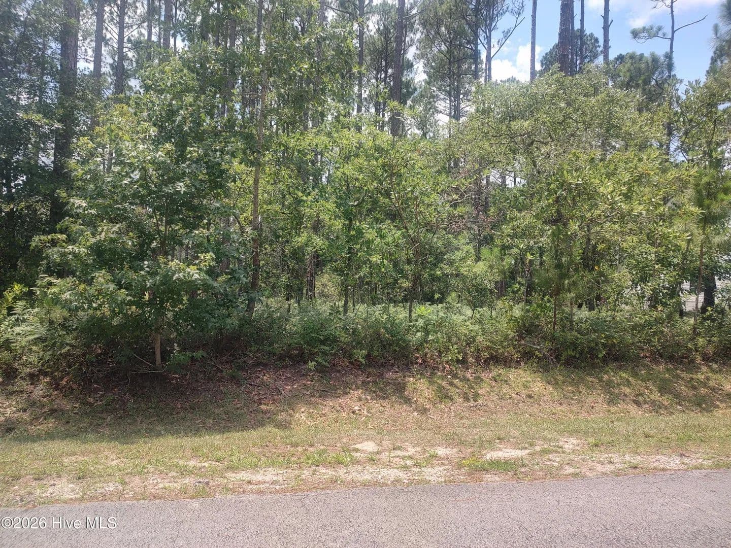 Vacant Land in New Bern - New Bern, North Carolina, 28560