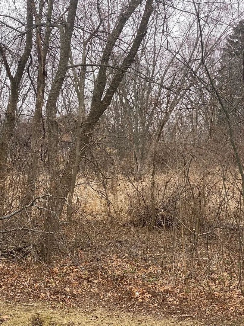 Vacant Land in Kildeer