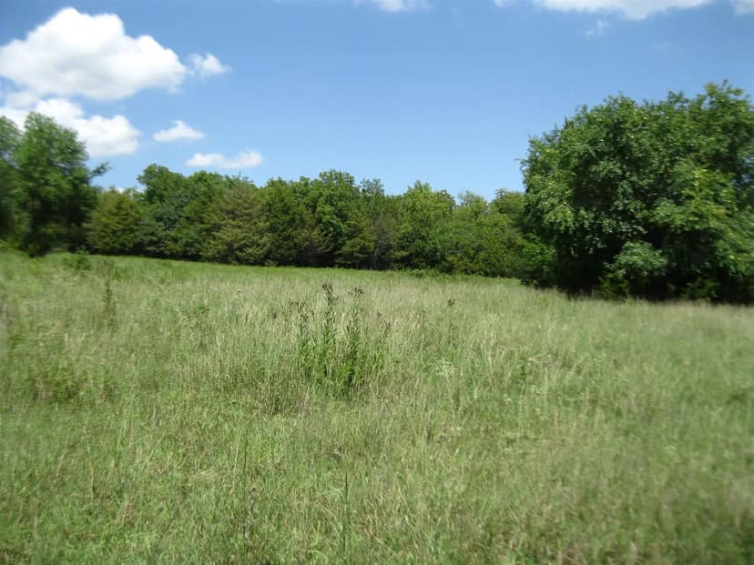 Property from 0 Quinter Rd. - KW