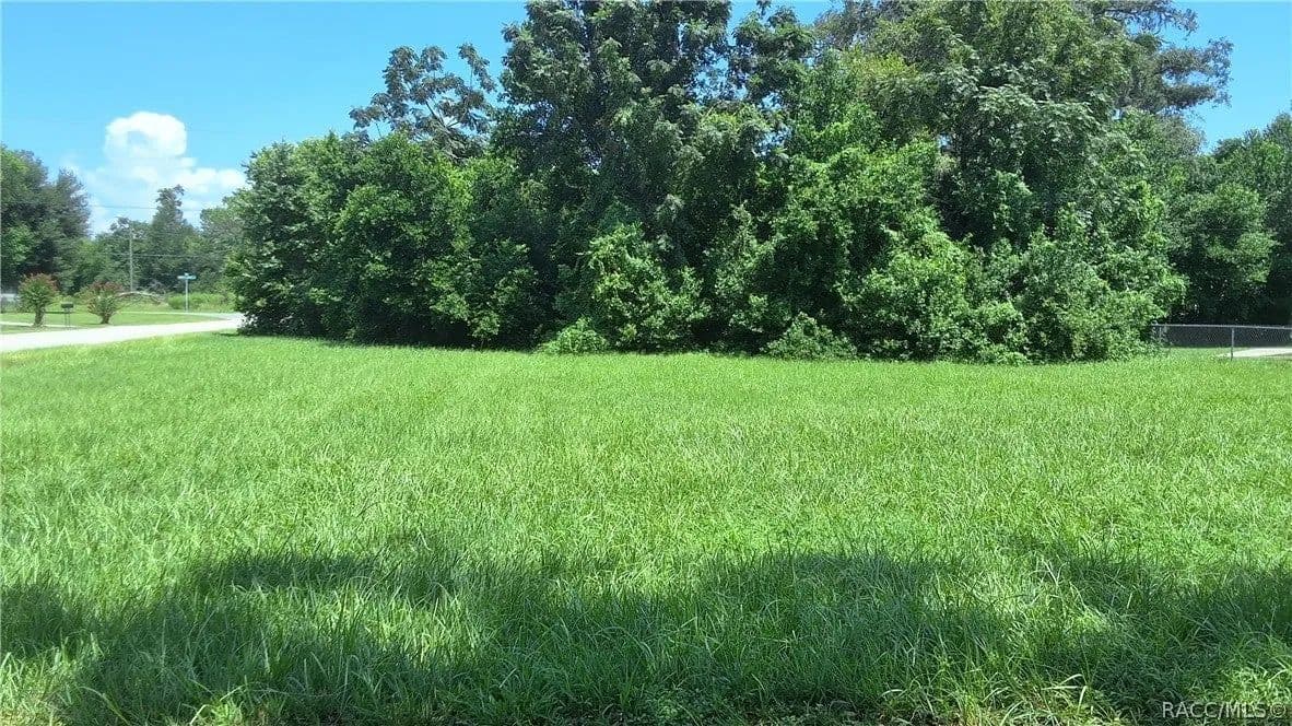 Lots & Land-Other in Inverness - Inverness, Florida, 34453