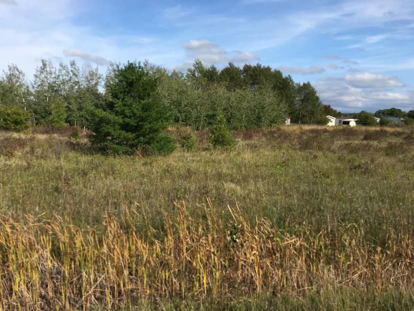 Vacant Land in Cheboygan
